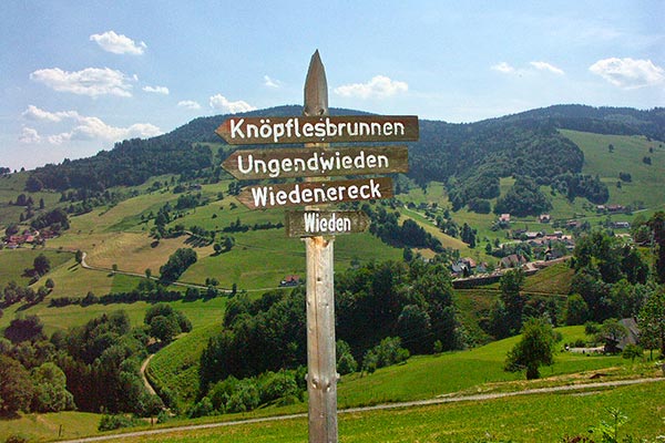 Zahlreiche Wanderwege warten im Schwarzwald auf Sie